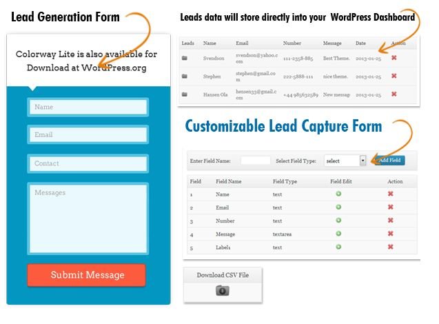 Lead Capture Form